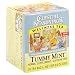 Celestial Seasonings Wellness Tea Tummy Mint, Tea Bags, 0.6-Ounce 10-Count Box(Pack of 10)