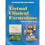 Virtual Clinical Excursions for Medical-Surgical Nursing