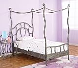 Parisian Twin Size Canopy Bed - Powell Furniture - 407-106