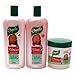 Capilo Suela Y Canela Combo Set + Free Hair Oil