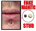 Magnetic Labret/ Ear / Nose Stud Gold (Small)