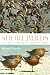 Shorebirds of the Northern Hemisphere