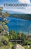 Ethnography: Step-by-Step (Applied Social Research Methods)