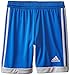 adidas Performance Boys Tastigo Shorts, Blue/Onix, X-Small