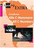 Aqualog Extra: The Latest Corydoras