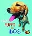 From Puppy to Dog (Young Explorer: How Living Things Grow) (Young Explorer: How Living Things Grow)