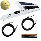 Roland AxSynth Keytar Shoulder Keyboard Ax Synth with Cables and (16) Duracell Batteries