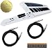 Roland AxSynth Keytar Shoulder Keyboard Ax Synth with Cables and (16) Duracell Batteries