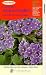 VHS : African Violets