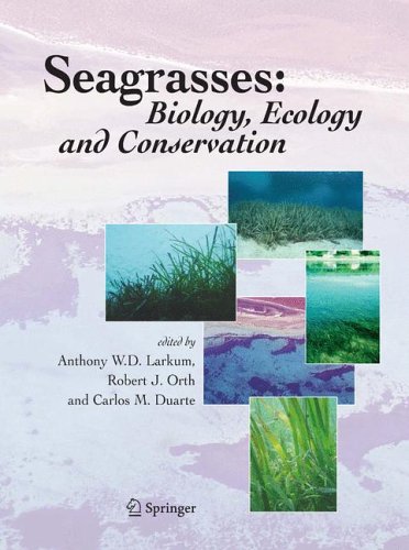 Seagrasses: Biology, Ecology and Conservation under Aquatic Life in The Books Store