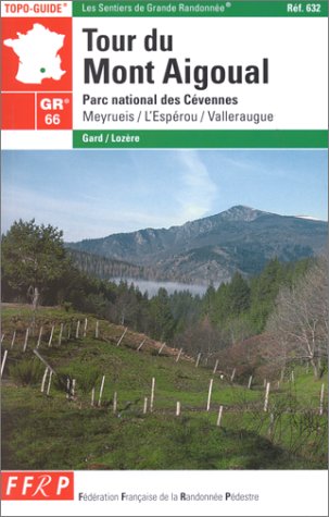 large image