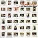 Prime Prine: The Best of John Prine