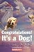 Congratulations! It's a Dog! Training and Behavior Tips for the Newest Member of Your Family
