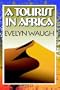 A Tourist In Africa