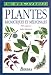 Plantes aromatiques et médicinales