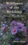 Wildflowers of the Berkshires: Where and When They Bloom, Vol. 1