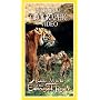 National Geographic's Hidden World of the Bengal Tiger [VHS]