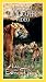 National Geographic's Hidden World of the Bengal Tiger