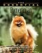 The Essential Pomeranian (Essential Guide)