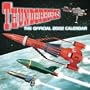 Thunderbirds Official 2002 Calendar (Wall Calendar)