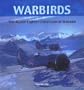 Warbirds: The Alpine Fighter Collection at Wanaka