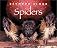 Spiders