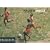 Magnum Soccer