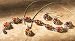 Amber Swirl Necklace