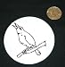 3 button / pin printed with black and white, united states, chirp, south, perch, animal, bird