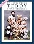 Constructing Teddy and His Friends