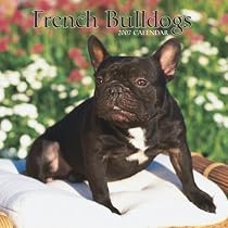 French Bulldogs 2007 Calendar