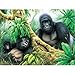 Gorillas Jigsaw Puzzle 60pc