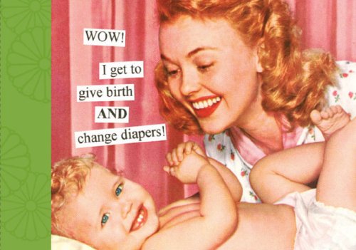 Wow! I Get to Give Birth and Change Diapers Photo Album (Anne Taintor)