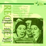 Requiem: Gregorian Chant [European Import]