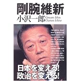 剛腕維新