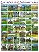 American Castles & Mansions Puzzle 1000 pc WMP 149