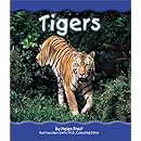 Tigers (Rain Forest Animals)