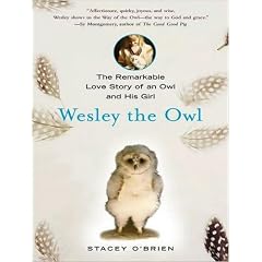 Wesley the Owl: The Remarkable Love Story of an Owl and His Girl