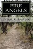 Fire Angels: A Southern Novel