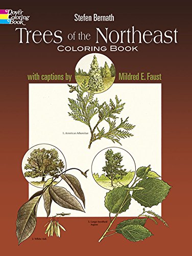 Trees of the Northeast Coloring Book (Dover Nature Coloring Book)