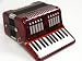 Musical Instruments : MILAN 12 Bass 31 Keys Button Box Accordion w/ Case
