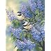 Dimensions Needlecrafts Paintworks Paint By Number, Chickadees & Lilacs