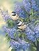 Paint By Number Chickadees & Lilacs or Color for Nature Lovers