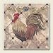 Kitchen & Housewares : Absorbastone Coasters ~ Iron Gate Rooster