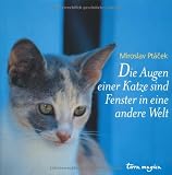 Die Augen einer Katze sind Fenster in eine andere Welt - Miroslav Pt�cek