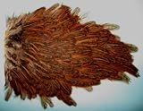 Soft Hackle Hen Saddle Patches
