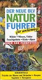 Produkt-Bild: Der neue BLV Naturf&uuml;hrer f&uuml;r unterwegs. W&auml;lder, Wiesen, Felder, Feuchtgebiete, K&uuml;ste, Alpen