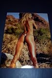STACY KEIBLER AUTOGRAPHED WWE 11X14 PHOTO W/PROOF 