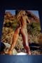 STACY KEIBLER AUTOGRAPHED WWE 11X14 PHOTO W/PROOF "HOT