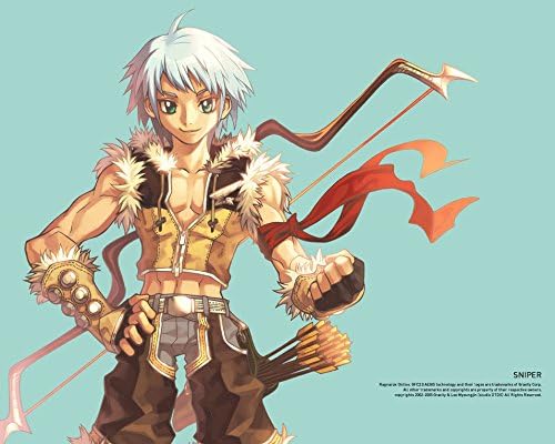 Ragnarok Online Customized 18x14 inch Silk Print Poster/WallPaper Great Gift